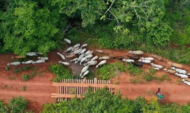 Fato ocorreu em &aacute;rea ind&iacute;gena