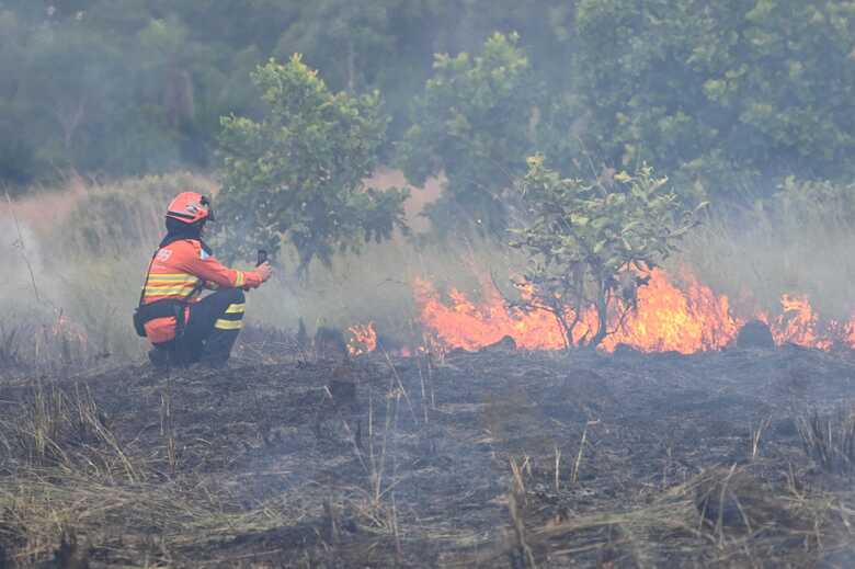 Operação Pantanal têm sido eficiente