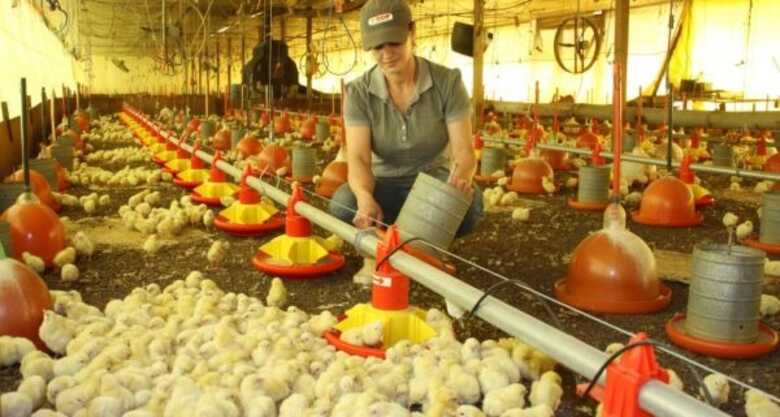 Foto: Reprodu&ccedil;&atilde;o