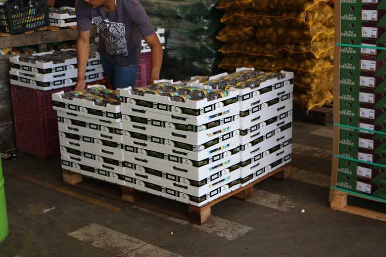 Doa&ccedil;&atilde;o evita custo de descarte para empresas e beneficia popula&ccedil;&atilde;o vulner&aacute;vel 