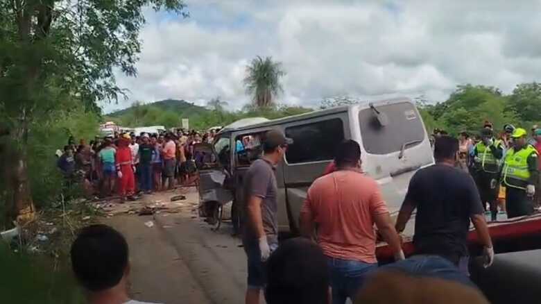 Van atingiu uma &aacute;rvore