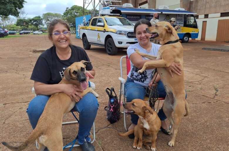 Ao longo de 2026, a Caravana da Castra&ccedil;&atilde;o deve chegar a 63 munic&iacute;pios