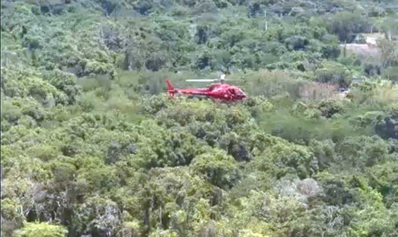 Helic&oacute;ptero caiu em zona de mata fechada