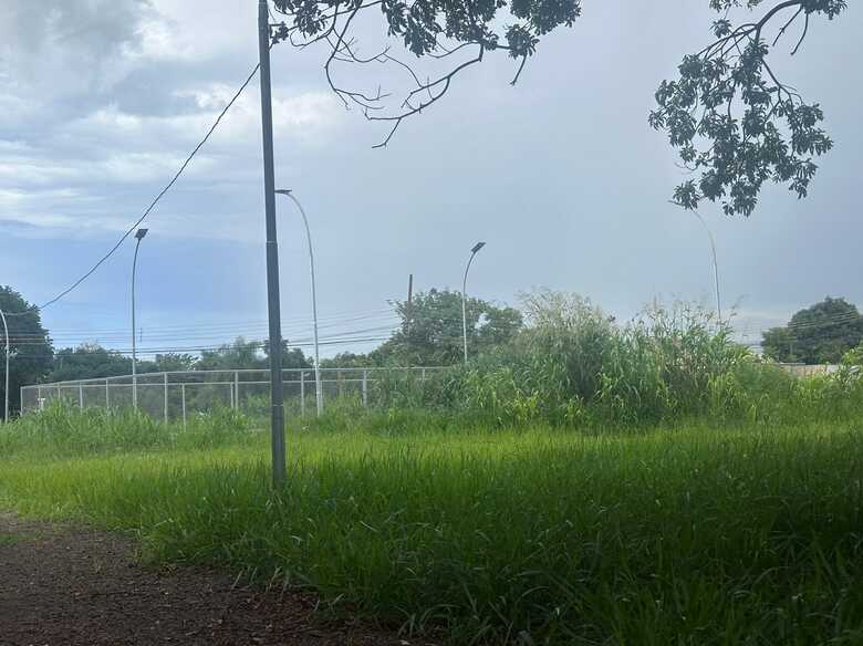 Mato toma conta do local