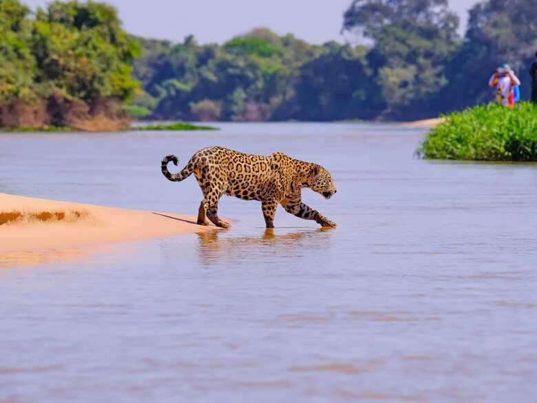 O Pantanal &eacute; reconhecido como refer&ecirc;ncia em turismo ecol&oacute;gico