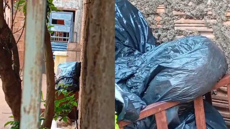 Sacos pl&aacute;sticos estariam com diversos cachorros mortos