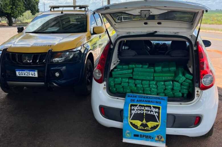 Droga apreendida - Foto: BPMRv/PMMS