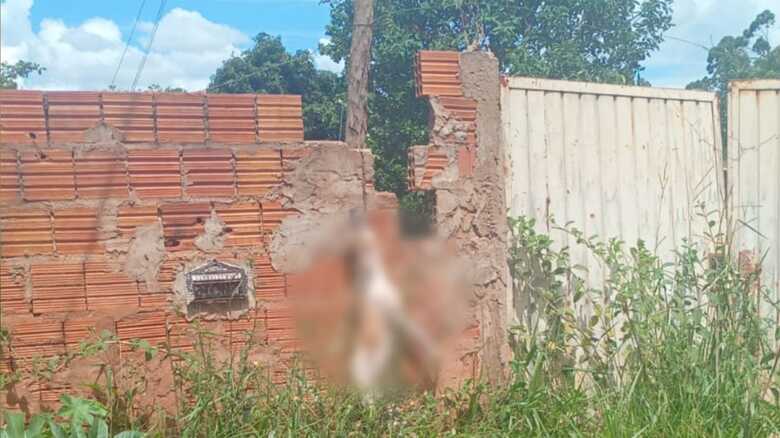 O caso aconteceu na tarde de hoje