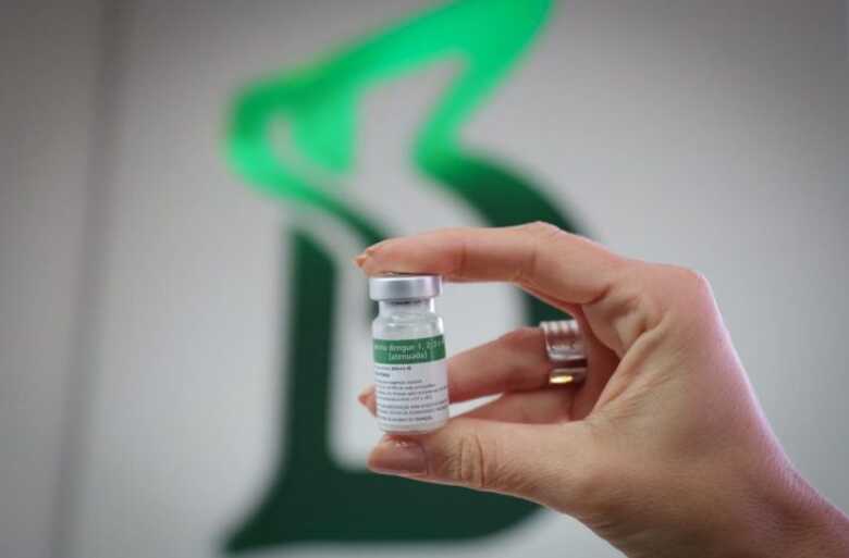 Imunizante do Instituto Butantan ser&aacute; destinado, nesta primeira remessa, exclusivamente a profissionais das UBSs