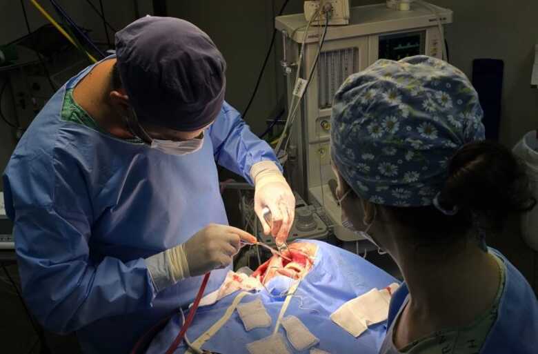 Refer&ecirc;ncia em m&eacute;dia e alta complexidade em Mato Grosso do Sul, o HRMS realizou, no &uacute;ltimo ano, mais de 12 mil cirurgias e procedimentos cir&uacute;rgicos.