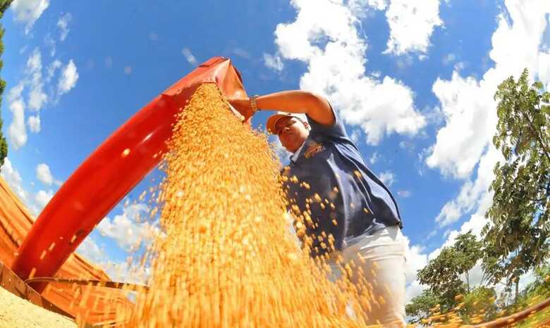 Colheita de soja pode bater recorde