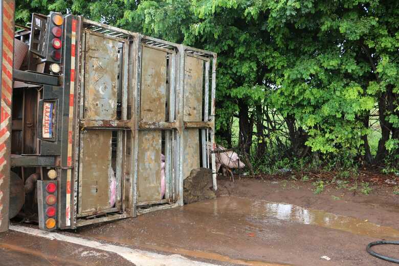 Caminh&atilde;o tombou nas margens da rodovia