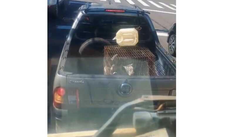 Foto: Reprodu&ccedil;&atilde;o