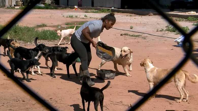 Foto: Roberto Pratti, TV Gazeta
