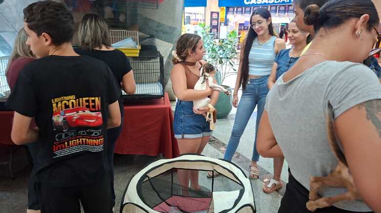 Evento acontece no Shopping Bosque dos Ip&ecirc;s