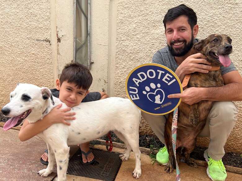 Atualmente, oito animais est&atilde;o dispon&iacute;veis e aguardam um novo lar