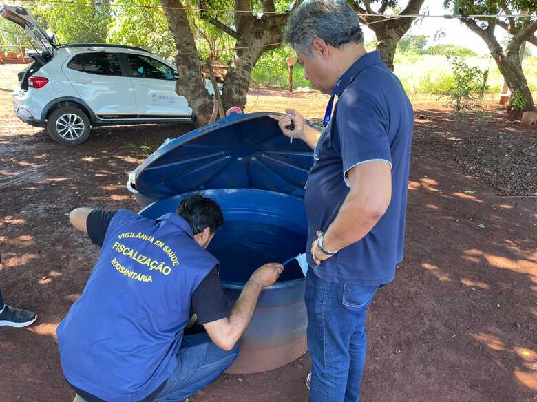 A&ccedil;&otilde;es tentam frear o avan&ccedil;o da doen&ccedil;a