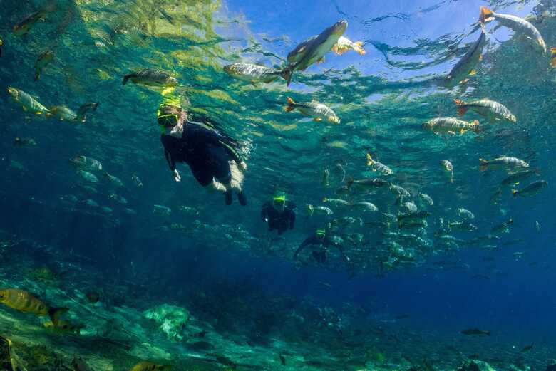 Flutua&ccedil;&atilde;o em MS &eacute; finalista de pr&ecirc;mio