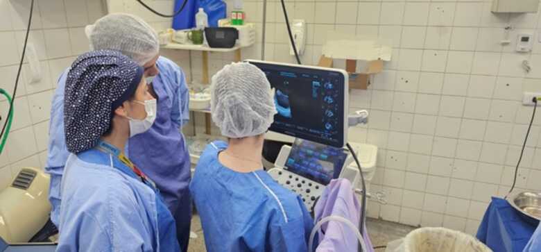 Foto: Divulga&ccedil;&atilde;o