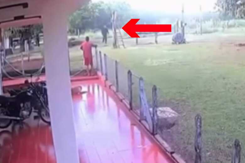 Momento do ataque - Foto: Reprodu&ccedil;&atilde;o