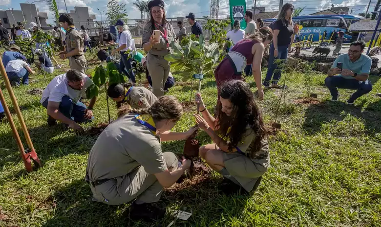 Ao todo, foram plantadas 250 mudas 