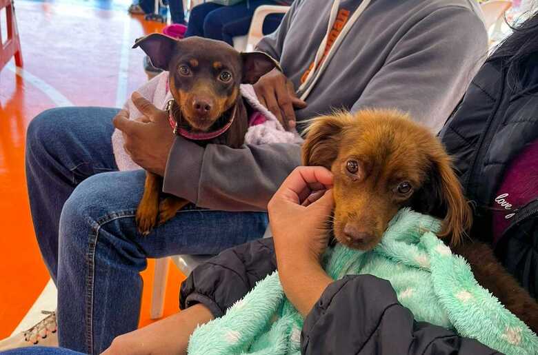 Foto: Divulga&ccedil;&atilde;o