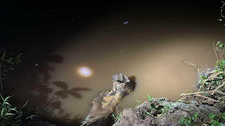 Corpo de Bombeiros iniciou as buscas pela v&iacute;tima