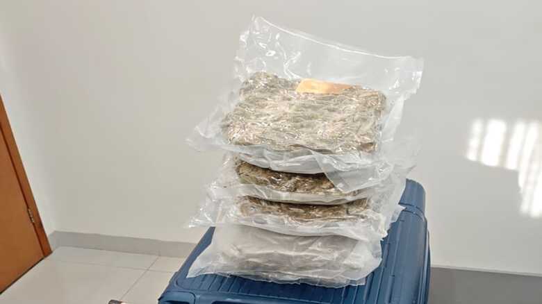 Drogas foram apreendidas