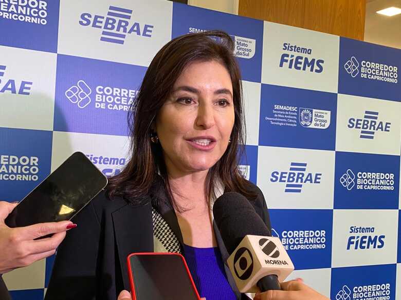 Ministra do Planejamento e Or&ccedil;amento, Simone Tebet