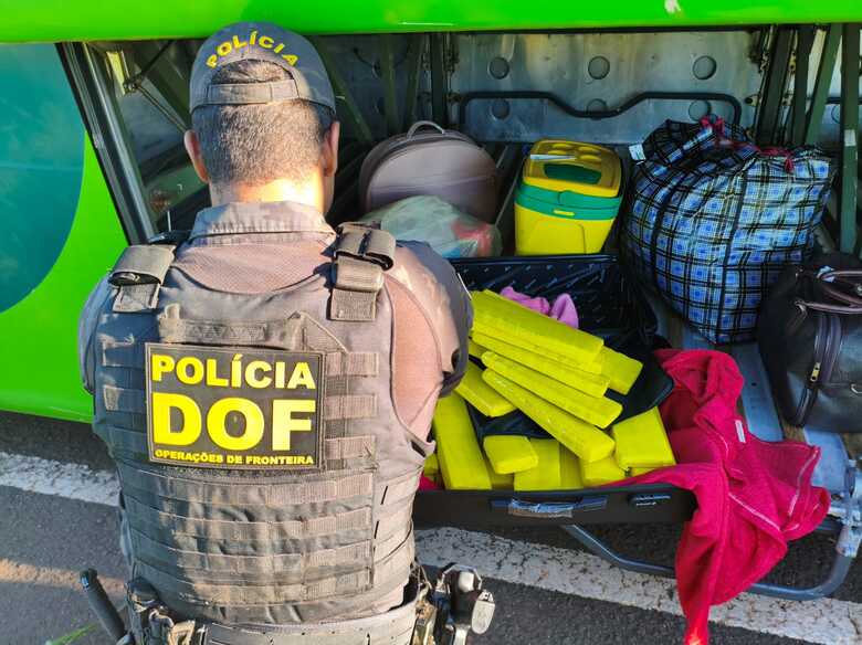 Drogas foram apreendidas pelo DOF