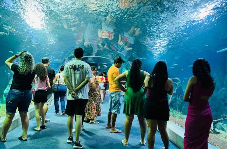 O Bioparque conquistou a certifica&ccedil;&atilde;o internacional ouro de sustentabilidade da Green Destinations