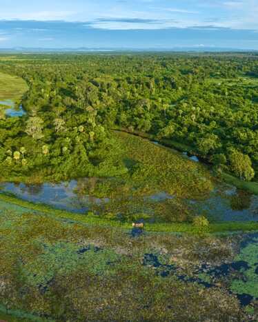 O objetivo &eacute; fortalecer crit&eacute;rios ambientais