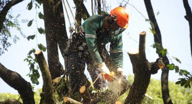 Foto: Ilustrativa / Rodrigo Clemente