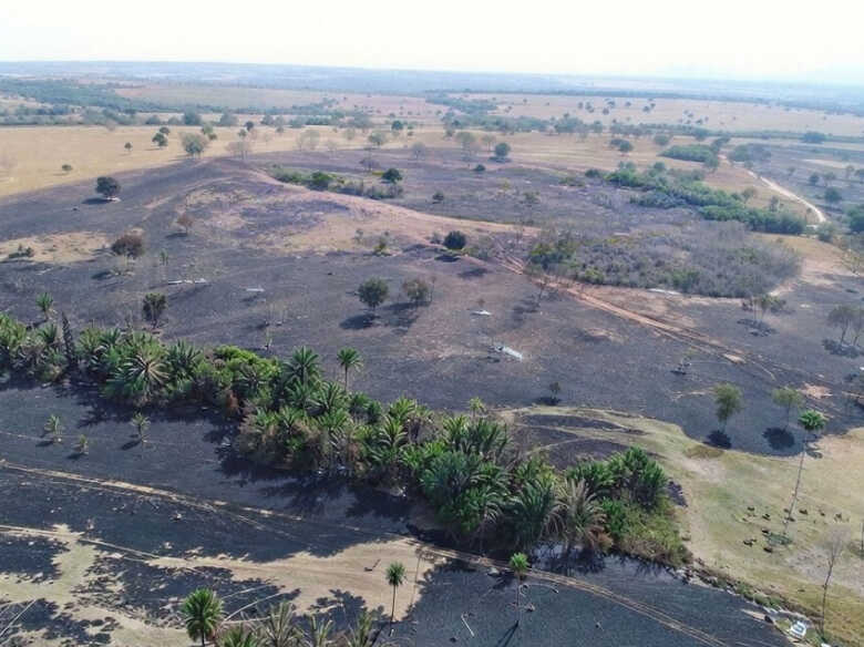 Area atingida pelo inc&ecirc;ndio