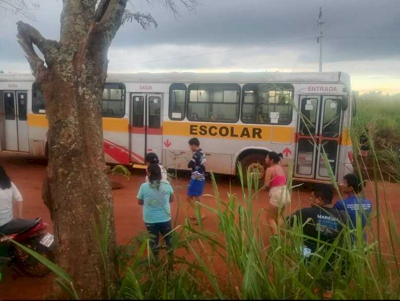 V&iacute;tima faleceu logo ap&oacute;s ser atropelada por um &ocirc;nibus