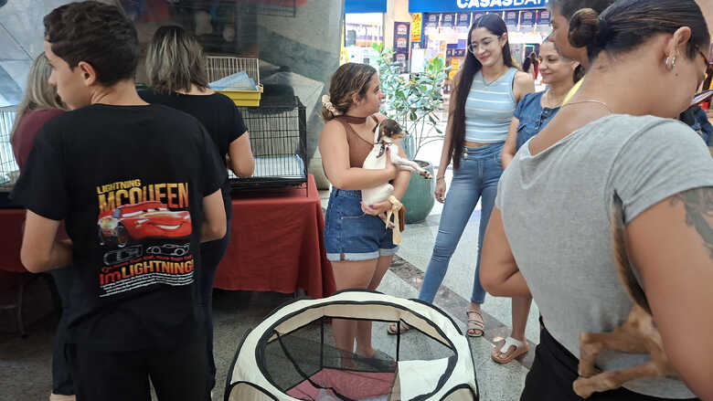 Foto: Divulga&ccedil;&atilde;o