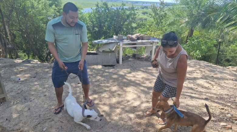 Cadela caramela foi morta