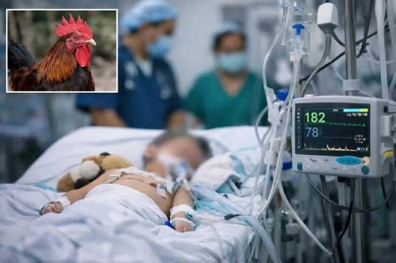 Ataque teria acontecido dias antes; &oacute;bito foi confirmado nesta ter&ccedil;a-feira (14). 