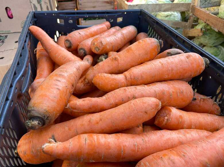 Pre&ccedil;o da cenoura disparou no atacado