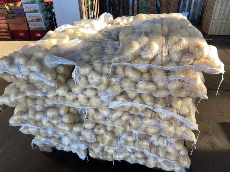 Foto: Divulga&ccedil;&atilde;o/ Ceasa-MS