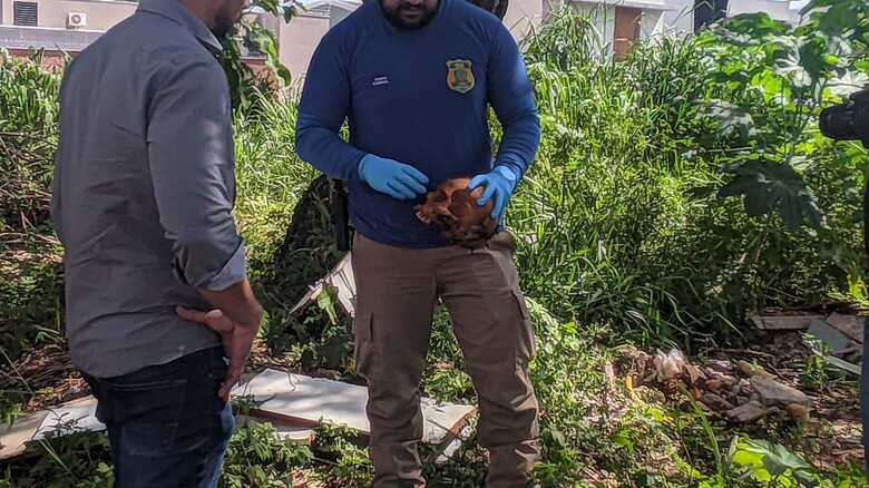 Perito recolhendo o cr&acirc;nio no local