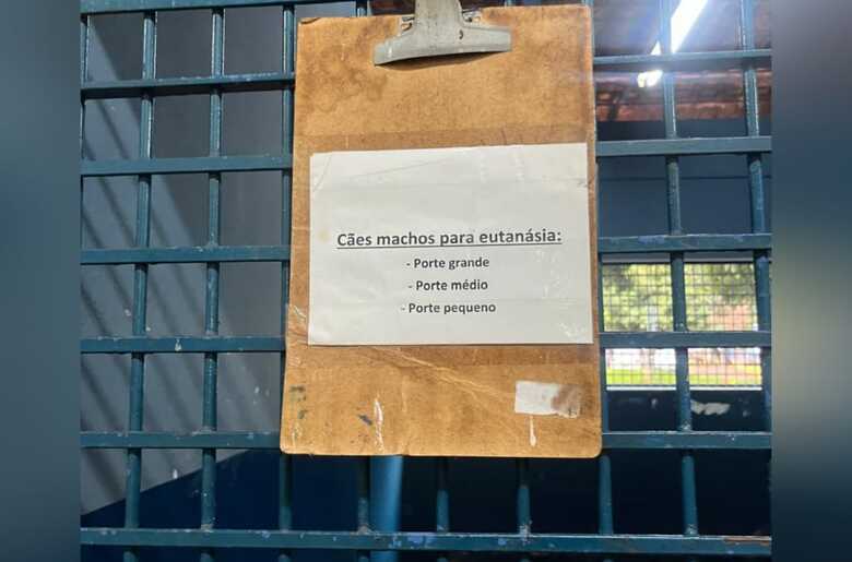 Foto: Reprodu&ccedil;&atilde;o / Relat&oacute;rio / CRMV-MS