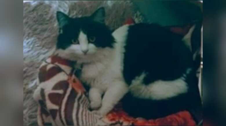 Xispita foi torturada at&eacute; a morte