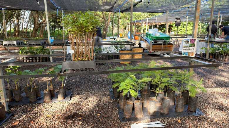 Viveiro foi inaugurado em Campo Grande