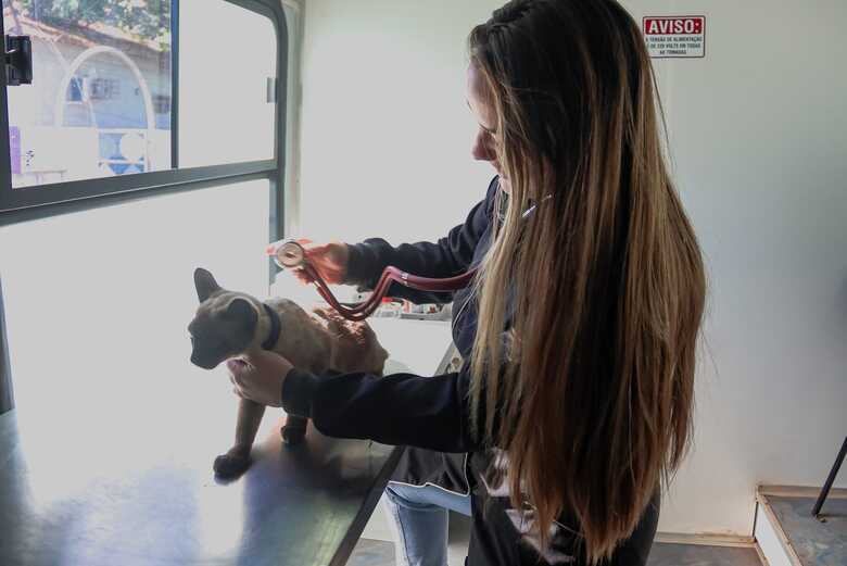 A iniciativa busca ampliar o acesso da popula&ccedil;&atilde;o aos cuidados b&aacute;sicos com c&atilde;es e gatos