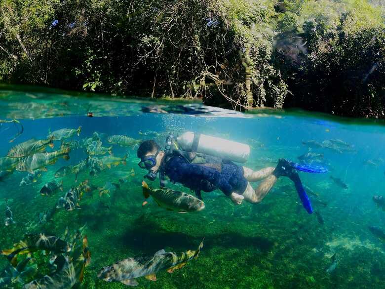 Imers&atilde;o Subaqu&aacute;tica no Recanto Ecol&oacute;gico Rio da Prata