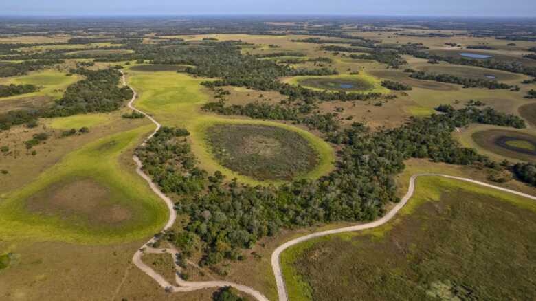 Pantanal de MS pode funcionar como projeto piloto