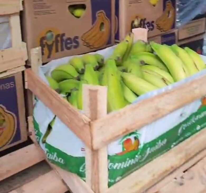 Frutas eram desviadas da empresa