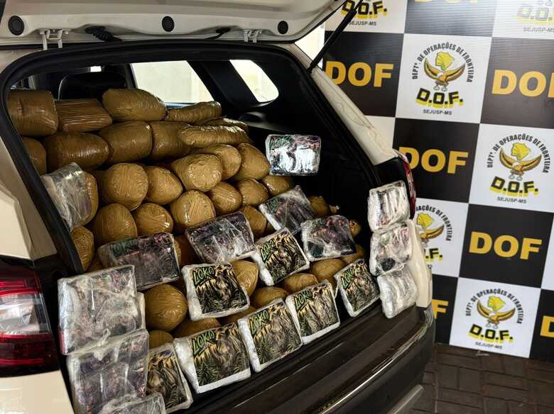 Drogas apreendidas no carro pelo DOF
