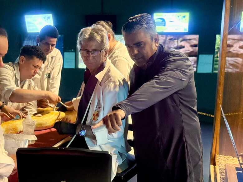 Sucuri recebeu tratamento para analisar condi&ccedil;&atilde;o de sa&uacute;de
